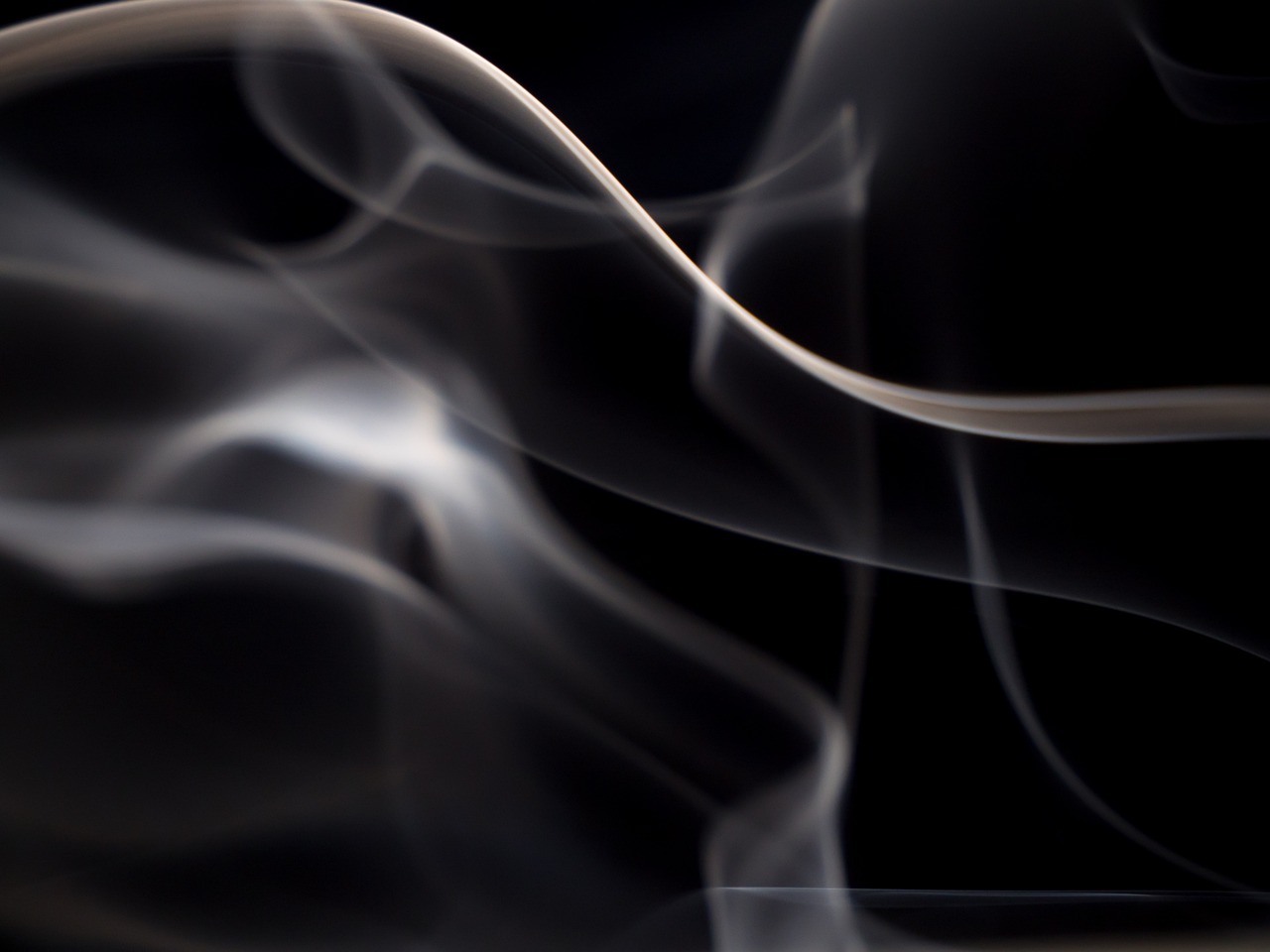 smoke, backdrop, macro, creative, smooth, smoky, soft, cigarette, design, black smoke, black design, black creative, smoke, smoke, smoke, smoke, smoke, smoky, black smoke, black smoke